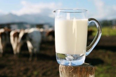 коровье молоко