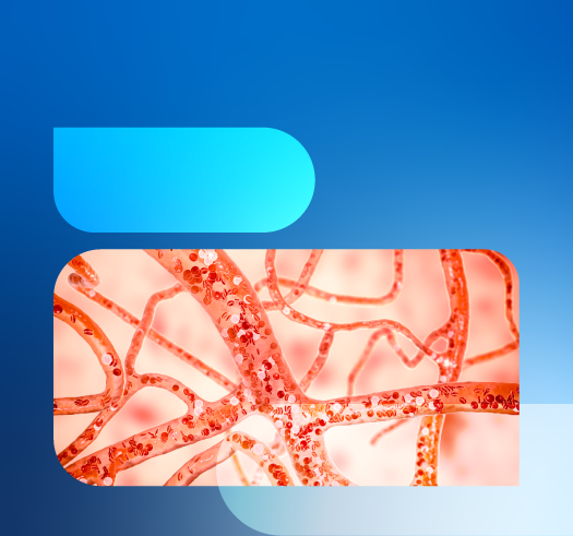 От нового комплекса до высокой автоматизации