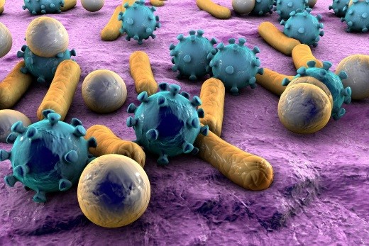 Бытовые микробы: друзья или враги?