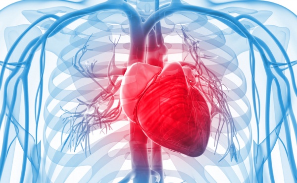 Новый индекс мочевой кислоты и его связь с сердечно-сосудистым риском