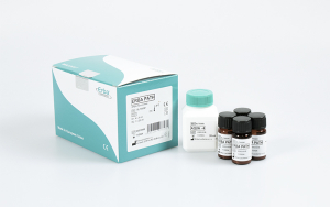 ЭРБА Патология