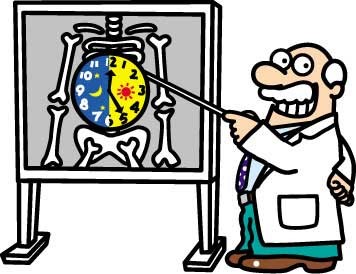 Циркадные часы могут защитить от рака