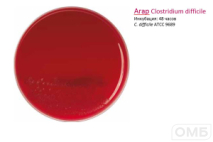 Clostridium difficile agar -  Агар для селективного выделения Clostrium difficile
