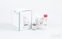 Реагент для определения железа, феррозиновый метод