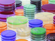 ETEST®  нетилмицин