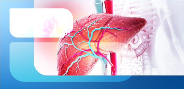 Маркеры лабораторной диагностики патологии печени