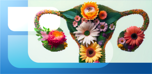 Антимюллеров гормон и менопауза