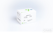 Реагент для определения аспартатаминотрансферазы / AST/GOT 4+1 SL (IFCC, моно- и биреагент, кинетический)