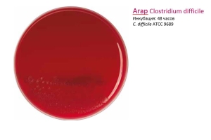 Clostridium difficile agar -  Агар для селективного выделения Clostrium difficile