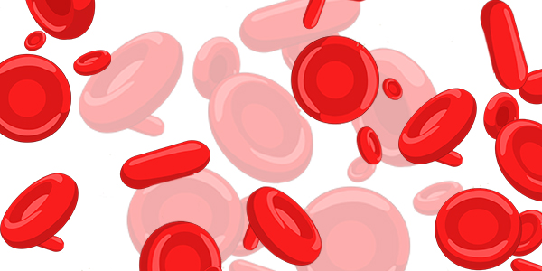 Автоматизация оценки скорости оседания эритроцитов