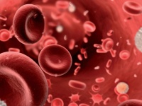 Исследования показывают, что тромбоциты могут усиливать воспалительные процессы