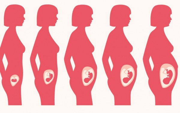 Фактор роста плаценты (PlGF) и его растворимый рецептор (sFlt-1) во время беременности: прогностическая оценка преэклампсии