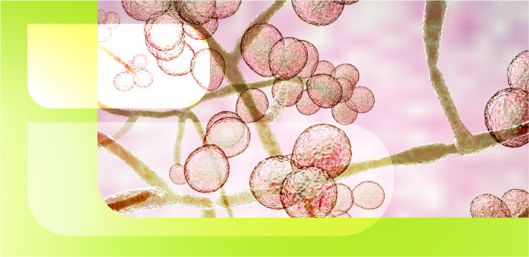 Вспышки инфекций, вызванных штаммами Candida auris: анализ и прогноз (часть 3) 