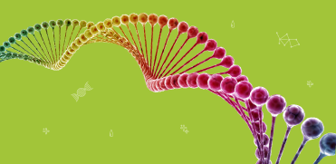 Преаналитические особенности генетического профилирования опухолевой ДНК