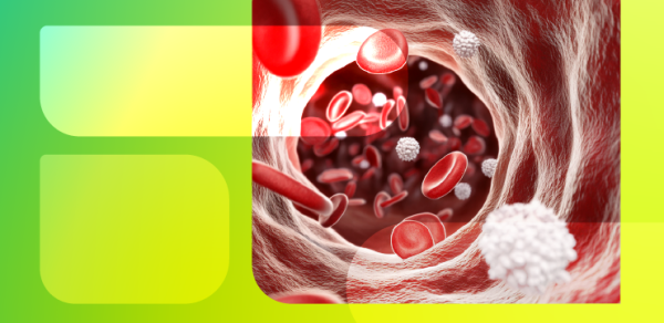 Мифы и факты о гемостазе: разбираемся в системе свертывания крови