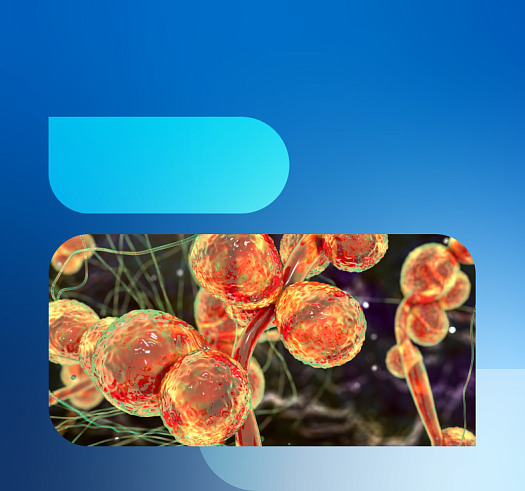 Вспышки инфекций, вызванных штаммами Candida auris: анализ и прогноз (часть 5)