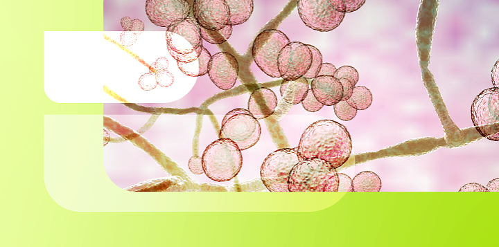 Вспышки инфекций, вызванных штаммами Candida auris: анализ и прогноз (часть 3) 