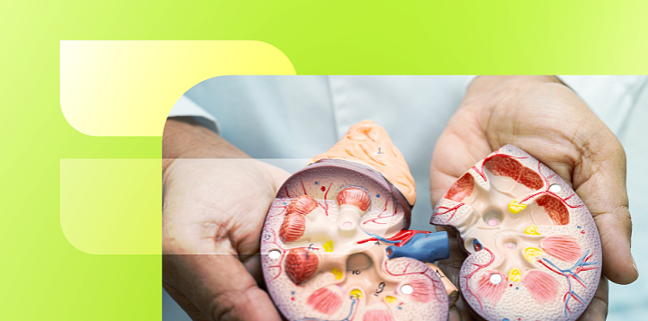 Диабетическая нефропатия (ДН): фокус на неальбуминуриновую ДН и сердечно-сосудистый риск