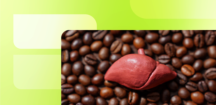 Кофеин и хлорогеновые кислоты в кофе: новые данные о механизмах гепатопротекторного действия